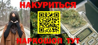 сатива Тверь