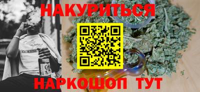 сатива Тверь