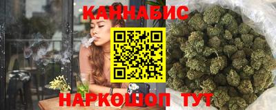 сатива Тверь