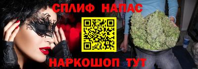 сатива Тверь