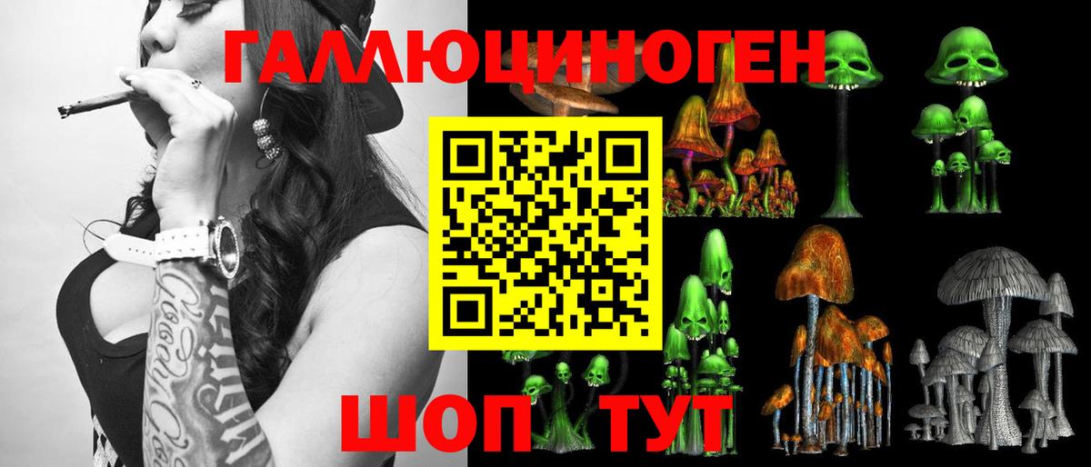 Псилоцибиновые грибы MAGIC MUSHROOMS Моздок