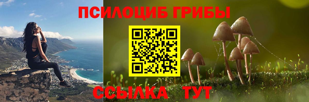 где продают наркотики  Вход с VPN  Моздок  Псилоцибиновые грибы Cubensis 